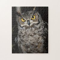 Great Horned Owl  2 Jigsaw Puzzle