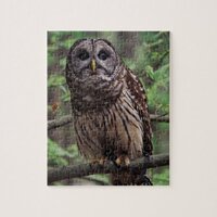 Barred Owl Jigsaw Puzzle