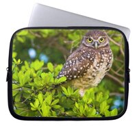 Burrowing owls are a popular site on Marco Laptop Sleeve