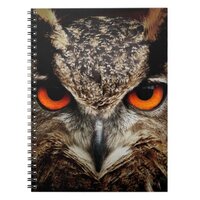 Owl with Orange Eyes Color Notebook