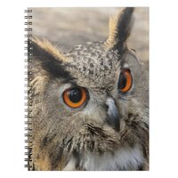 Cute eagle owl photography  notebook