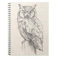 Owl Portrait - Sketch Notebook