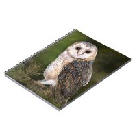 Western Barn Owl Notebook