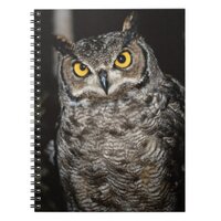 Great Horned Owl  2 Notebook