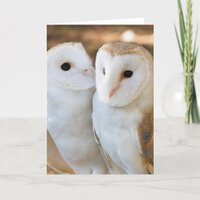 two owls friends card