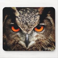 Mousepad - Owl