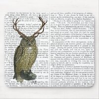 Owl with Antlers plain 2 Mouse Pad