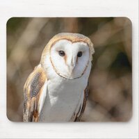 Barn Owl Mouse Pad