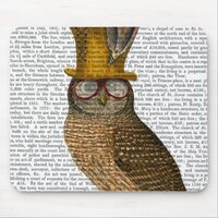Owl On Books Mouse Pad