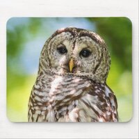Barred Owl of the Hudson Valley &ndash; Nature & Wildlif Mouse Pad