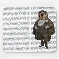 Owl At the Opera Mouse Pad