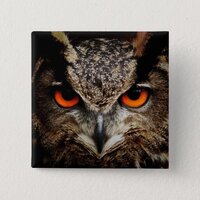 Owl with Orange Eyes Color Button