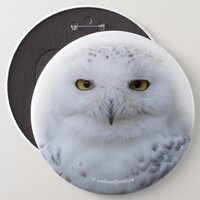 Beautiful, Dreamy and Serene Snowy Owl Pinback Button