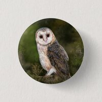 Western Barn Owl Button - Painting