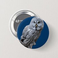 Great Gray Owl Button