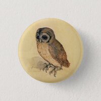 Albrecht Durer The Little Owl Pinback Button