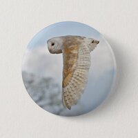 Barn Owl in Flight Badge Pinback Button