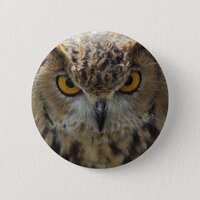 Owl Photo Round Button