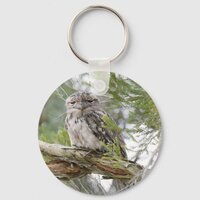 TAWNY FROGMOUTH OWL RURAL QUEENSLAND AUSTRALIA KEYCHAIN