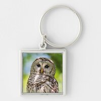 Barred Owl of the Hudson Valley &ndash; Nature & Wildlif Keychain
