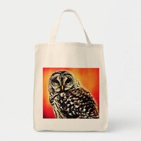 Tote/Grocery Bag -Bold Owl Design