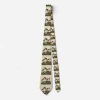 Burrowing Owls - from Audubon's Birds of America Neck Tie