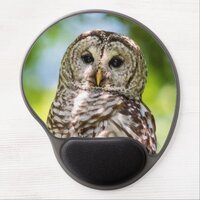 Barred Owl of the Hudson Valley &ndash; Nature & Wildlif Gel Mouse Pad