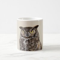 Great Horned Owl Greeting Mug