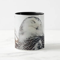 Snowy Owl on the Mississippi Flyway Mug