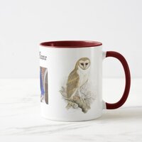 Customize Name Photo Owl Classic Mug, 11 oz Mug