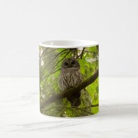 Barred Owl Coffee Mug