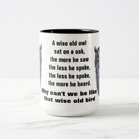 THE WISE OLD OWL mug