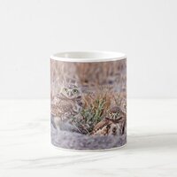 Burrowing Owls Coffee Mug