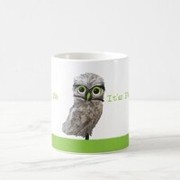 Silver Burrowing Owl Cape Coral Florida Artwork Coffee Mug
