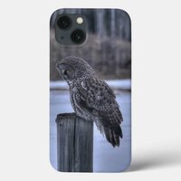 Sitting Great Gray Owl Wildlife Photo Portrait III iPhone 13 Case