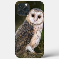 Western Barn Owl - Painting  iPhone 13 Pro Max Case