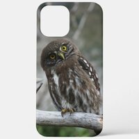 Northern Pygmy Owl iPhone 12 Pro Max Case
