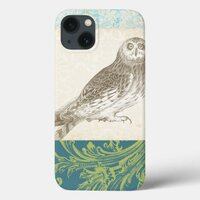 Gray Owl on Pattern Background iPhone 13 Case