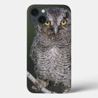 Eastern Screech-Owl, Megascops asio, Otus 2 iPhone 13 Case