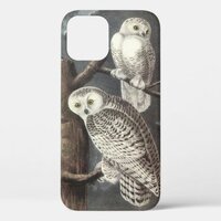 Snowy Owl by Audubon iPhone 12 Case
