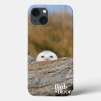 Snowy Owl iPhone 13 Case