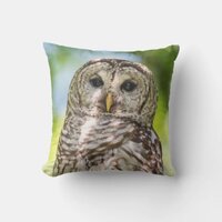 Barred Owl of the Hudson Valley &ndash; Nature & Wildlif Throw Pillow