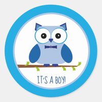 Blue Baby Boy Owl Cartoon Gender Reveal Classic Round Sticker