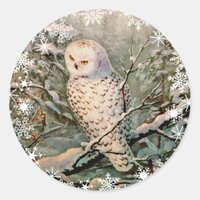 SNOWY OWL & SNOWFLAKES by SHARON SHARPE Classic Round Sticker