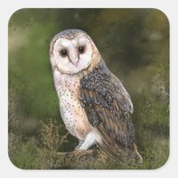 Western Barn Owl Sticker