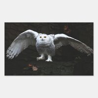 Snowy Owl With Open Wings stcna Rectangular Sticker