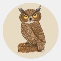 Owl,  stickers,  scrapbooking,  Bird cartoon Classic Round Sticker