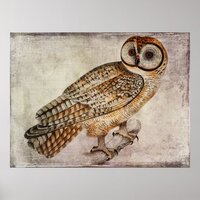 Vintage Owl Poster or Decoupage Paper