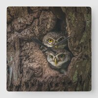 Forests | Two Owls Looking Square Wall Clock