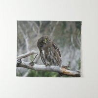 Northern Pygmy Owl Tapestry